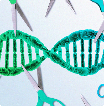 It's Time to Upgrade to a Superior Nuclease