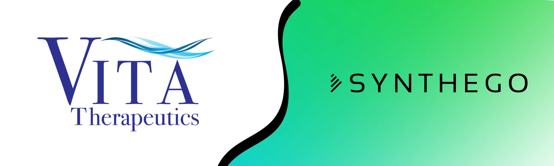 Synthego and Vita Therapeutics Announce Strategic Licensing Agreement for hfCas12Max CRISPR Nuclease