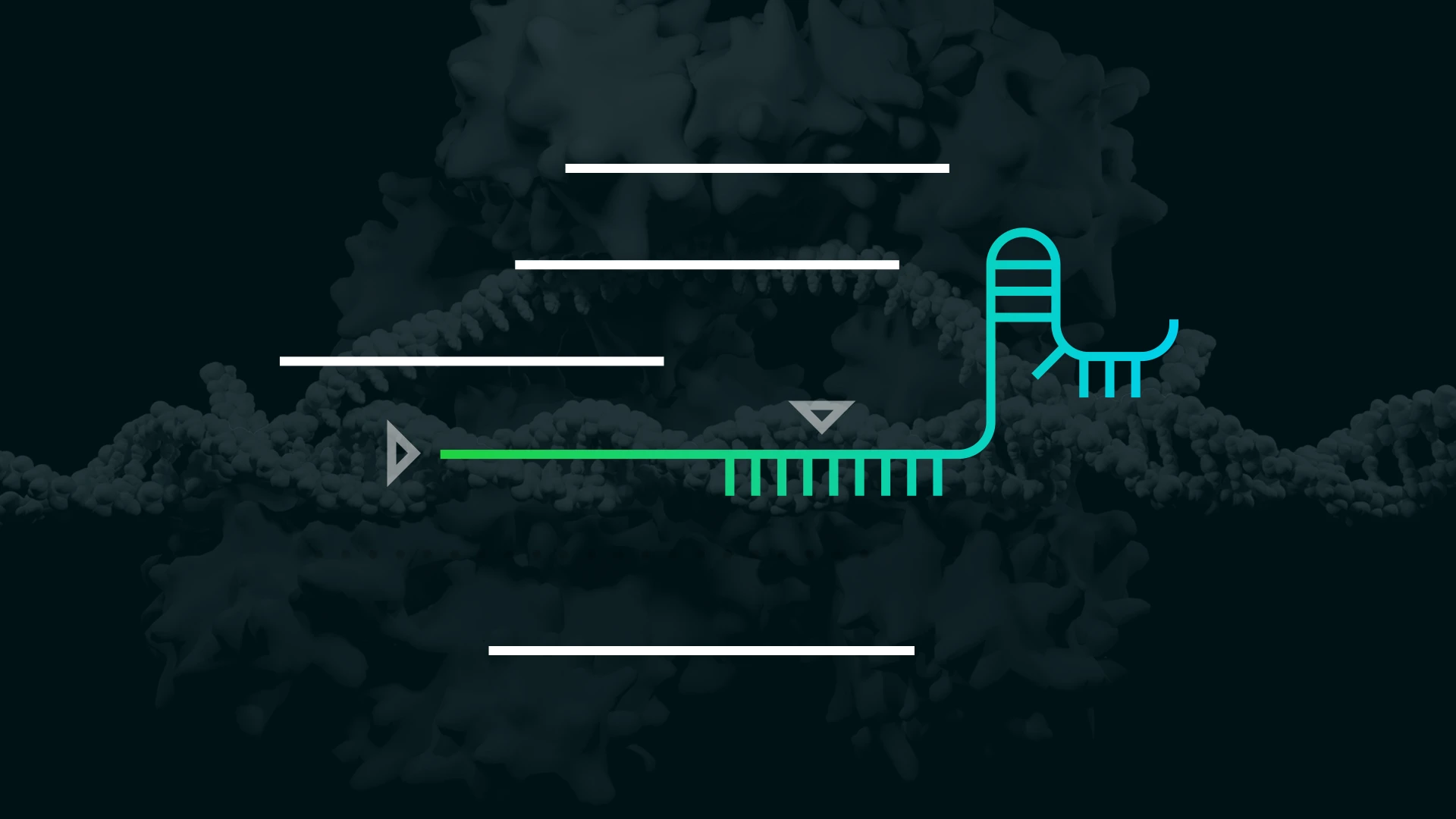 How To Use CRISPR: Your Guide to Successful Genome Engineering