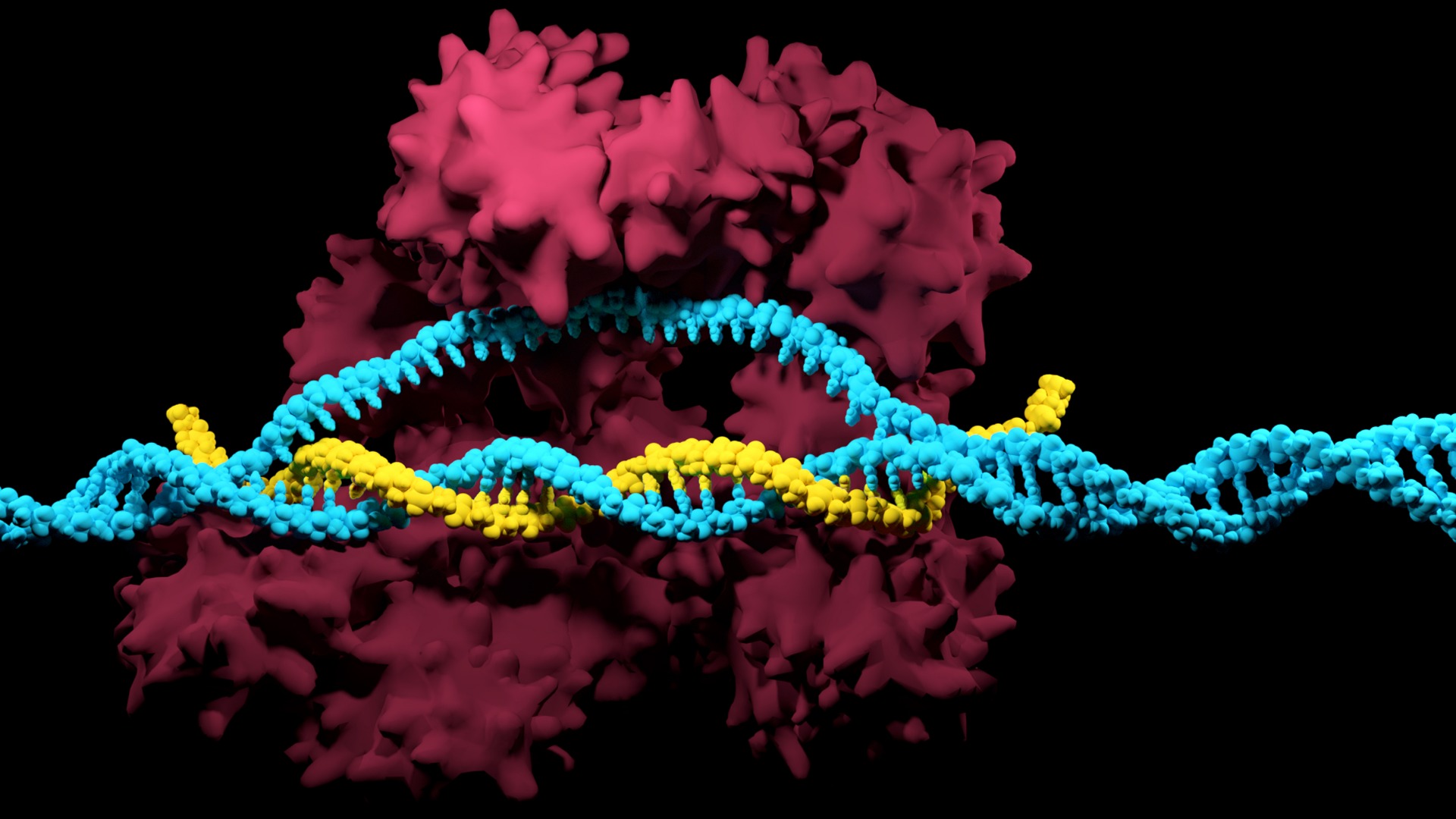 A Comprehensive Guide on CRISPR Methods