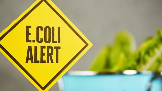 CRISPR Explains the Romaine Lettuce E. Coli Outbreak & More CRISPR News