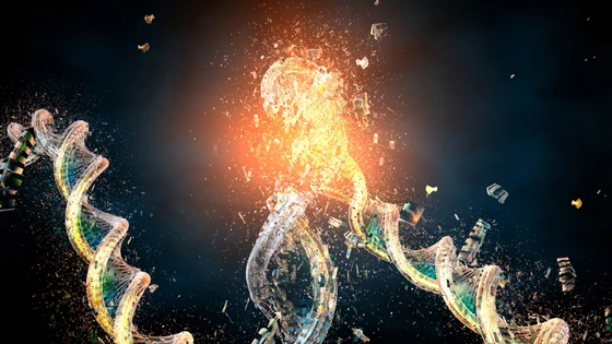 The Unexpected Relationship Between CRISPR & Fanconi Anemia