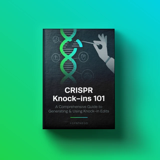 Uncover CRISPR Knock-ins