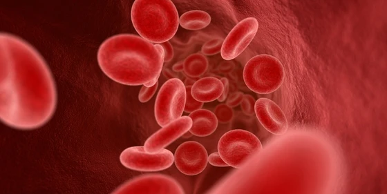 The Groundbreaking Approval of Casgevy, the First CRISPR Therapy in the US