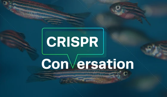 CRISPR Conversation: Miguel Moreno-Mateos Optimizes CRISPR for Zebrafish