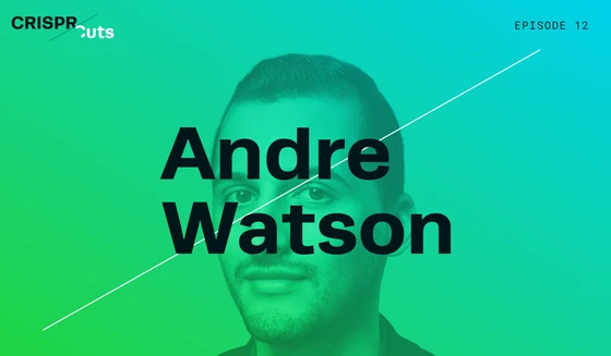 Improving Targeted Delivery to Enhance Personalized Medicine (with Podcast)