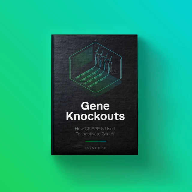 Learn what CRISPR knockouts are