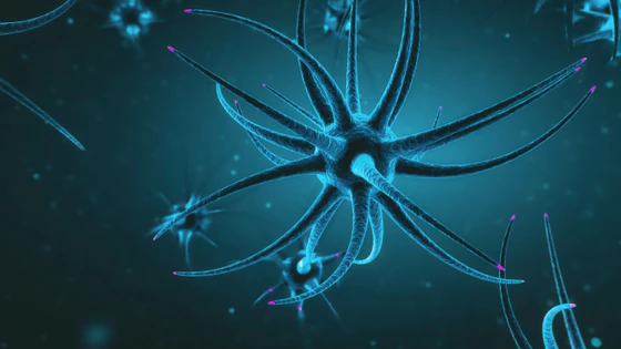 CRISPR-Cas9 in Huntington’s Disease: Progress and Possibilities For Future Cure