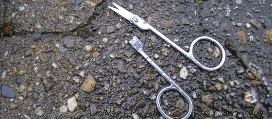 dCas9 is Catalytically Dead... Long Live Cas9!